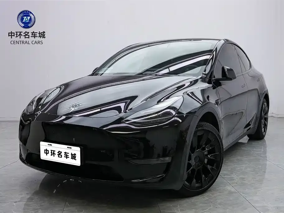 Tesla Model Y 2021 из CN, фото 1