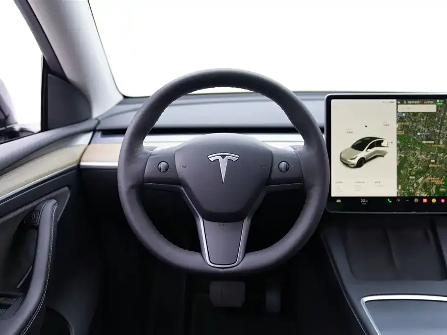 Tesla Model Y 2021 из CN, фото 7