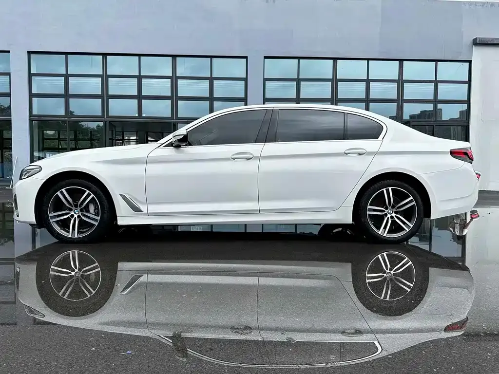 BMW 5 Series 2022 из CN, фото 10