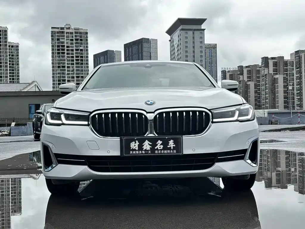 BMW 5 Series 2022 из CN, фото 2