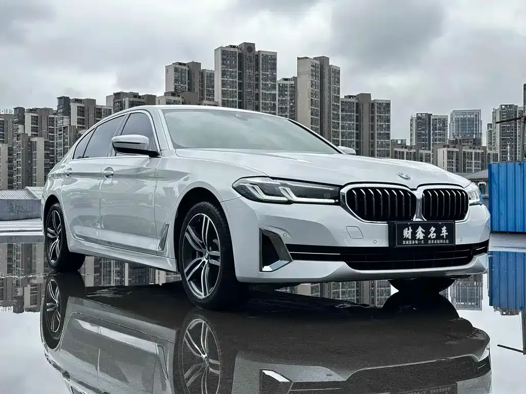 BMW 5 Series 2022 из CN, фото 3