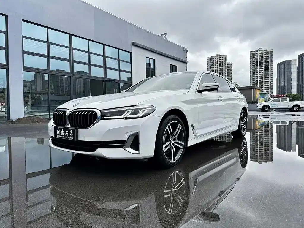 BMW 5 Series 2022 из CN, фото 5