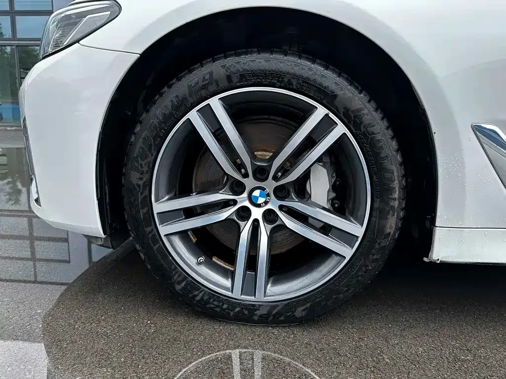 BMW 5 Series 2022 из CN, фото 9