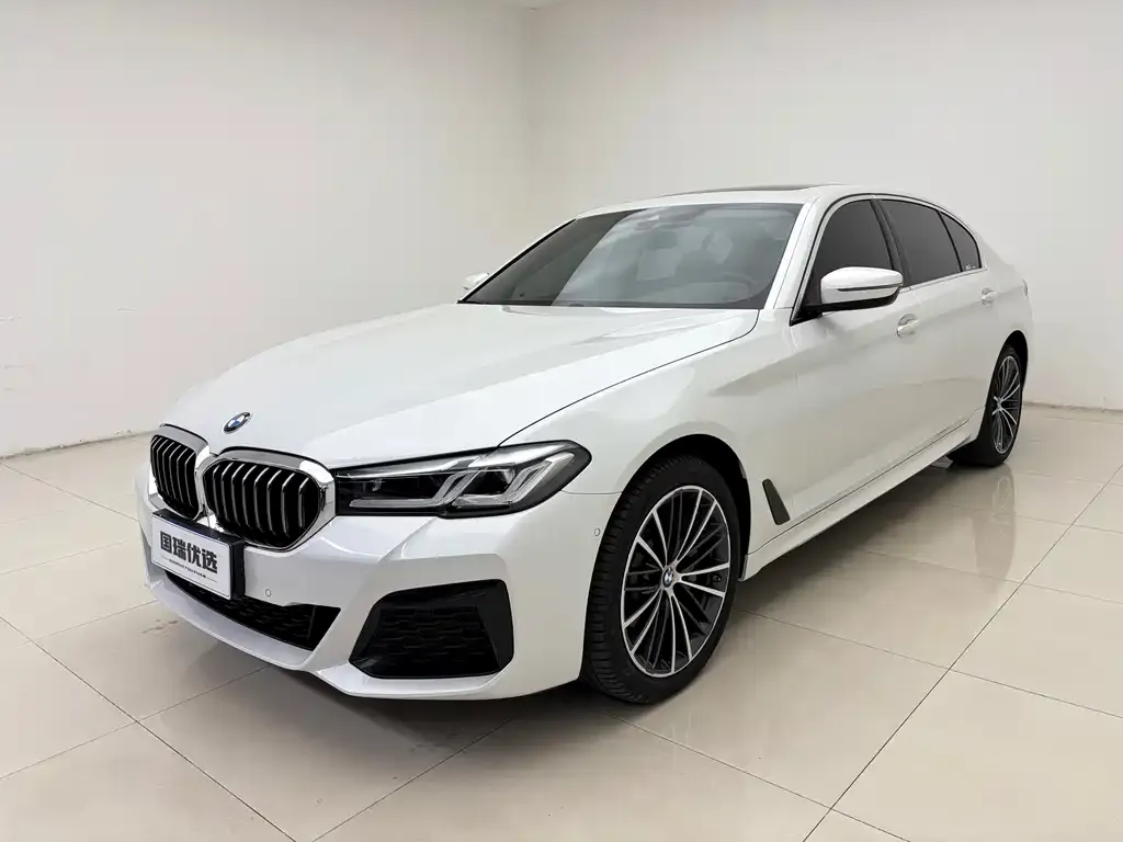 BMW 5 Series 2021 из CN, фото 1