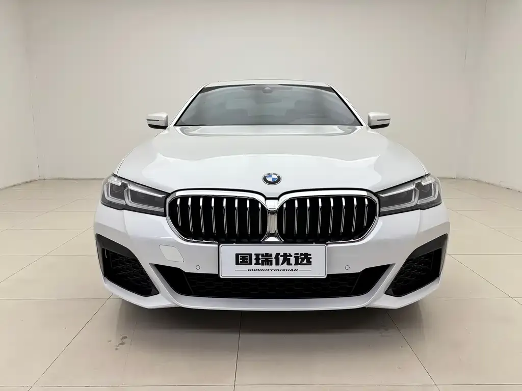 BMW 5 Series 2021 из CN, фото 2