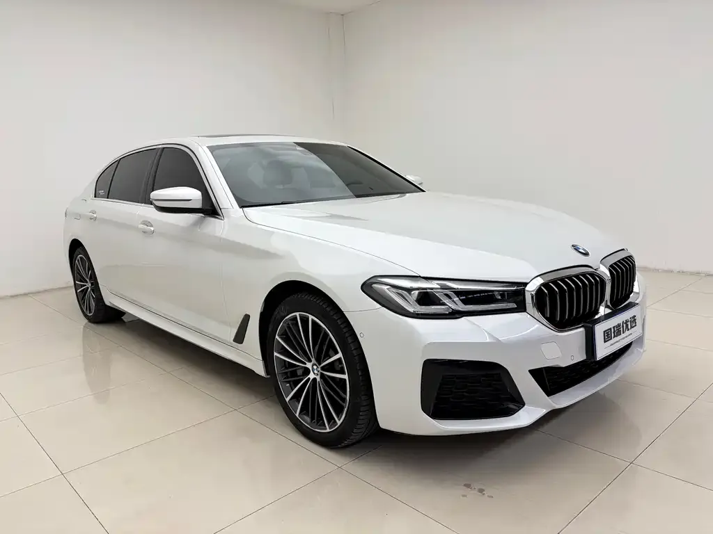 BMW 5 Series 2021 из CN, фото 3