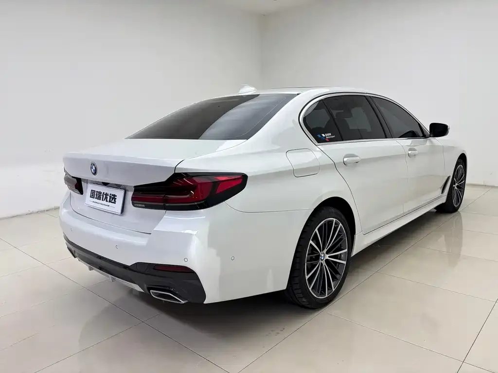 BMW 5 Series 2021 из CN, фото 4