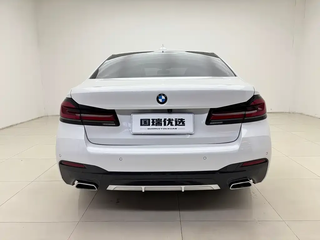 BMW 5 Series 2021 из CN, фото 5
