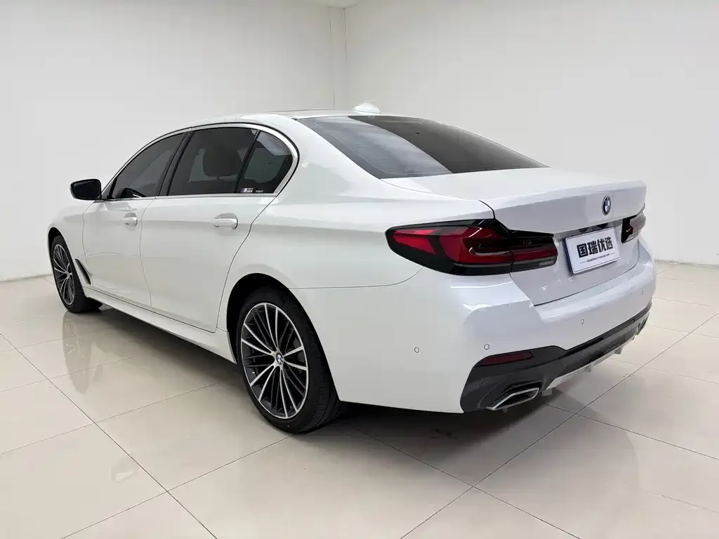 BMW 5 Series 2021 из CN, фото 6