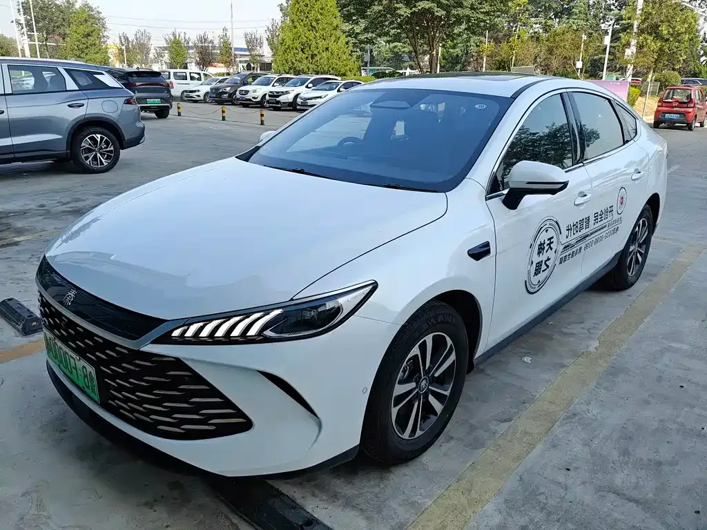 BYD Qin PLUS 2025 из CN, фото 1