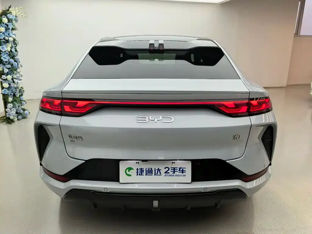 BYD L EV 2024 из CN, фото 6