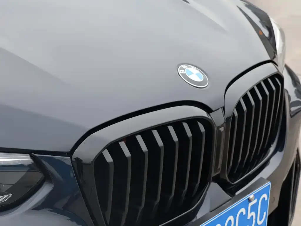 BMW X3 2022 из CN, фото 7
