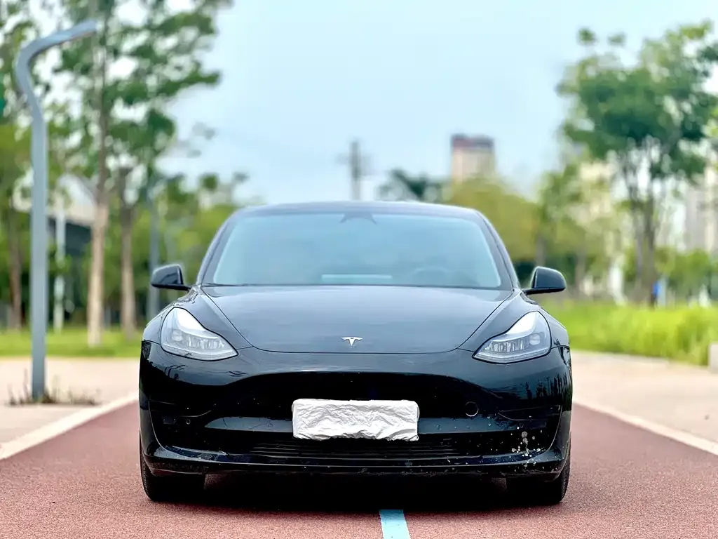 Tesla Model 3 2023 из CN, фото 2