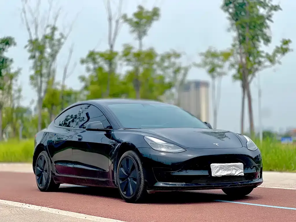 Tesla Model 3 2023 из CN, фото 3