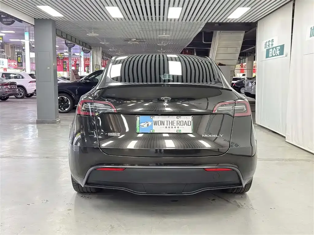 Tesla Model Y 2023 из CN, фото 6
