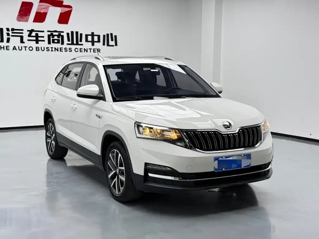 Skoda Kamiq 2021 из CN, фото 3