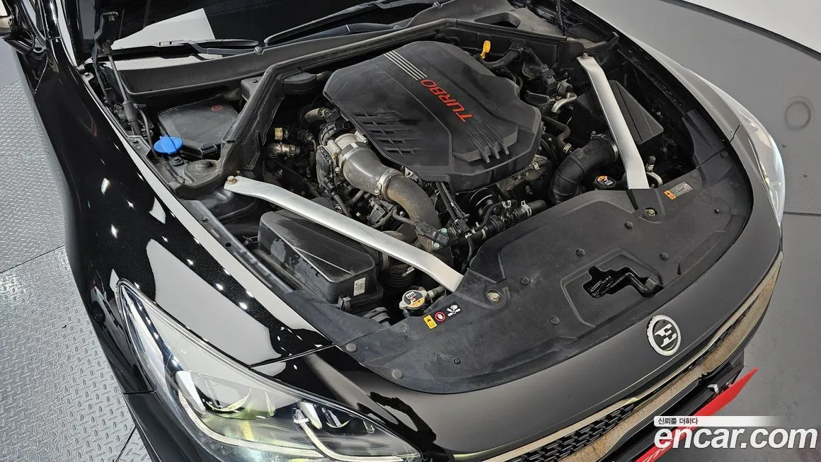 [object Object] Stinger 2021 из KR, фото 6