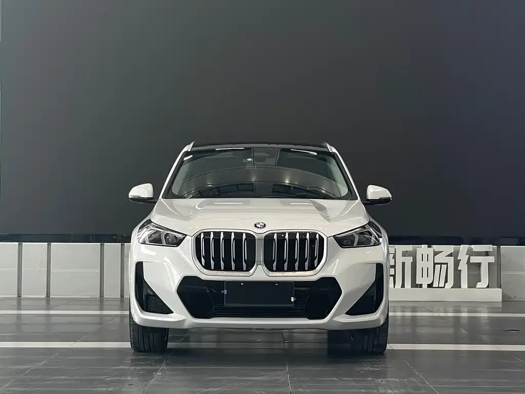 BMW X1 2023 из CN, фото 2