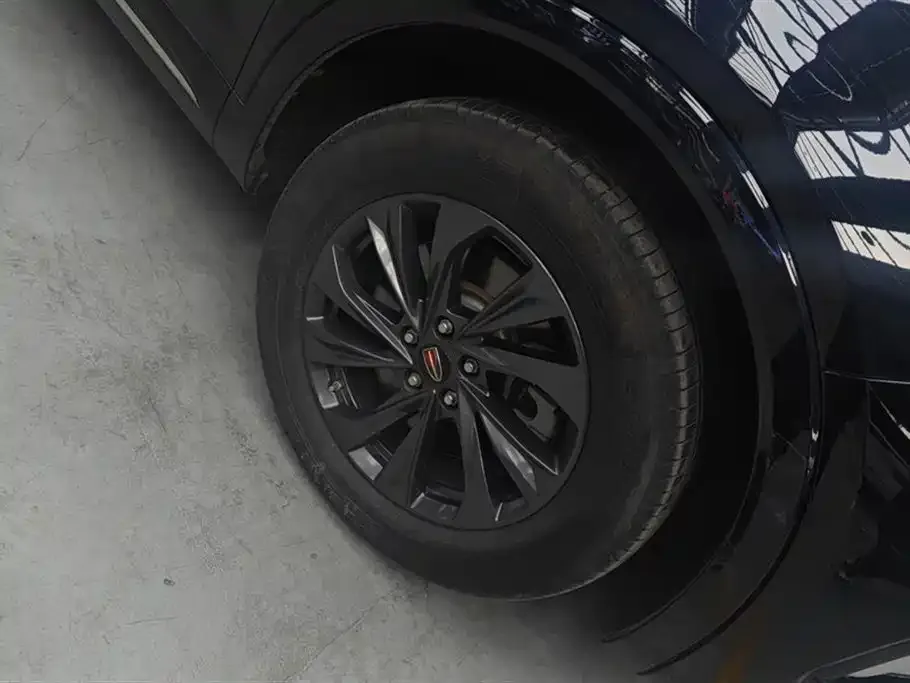 Hongqi HS5 2023 из CN, фото 6