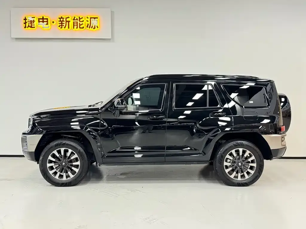 Tank 700 New Energy 2024 из CN, фото 9