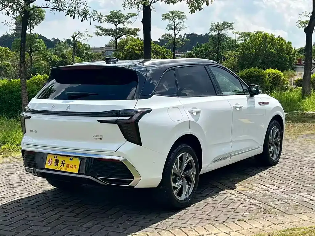 Hongqi HS3 2023 из CN, фото 4