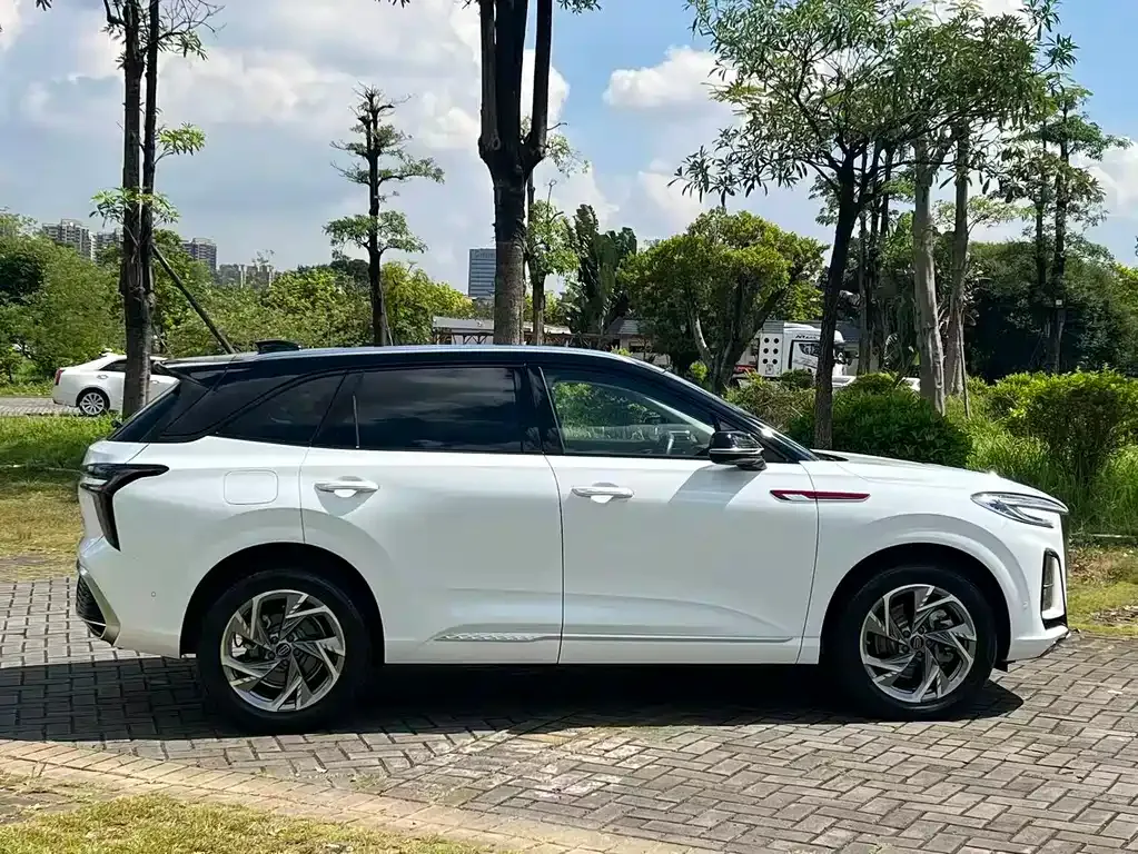 Hongqi HS3 2023 из CN, фото 6