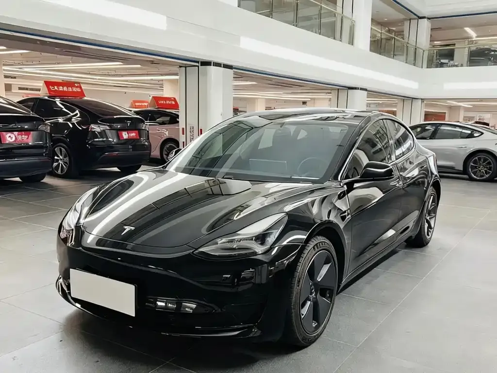 Tesla Model 3 2021 из CN, фото 2