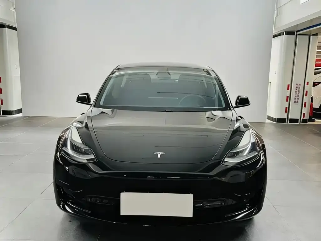 Tesla Model 3 2021 из CN, фото 3