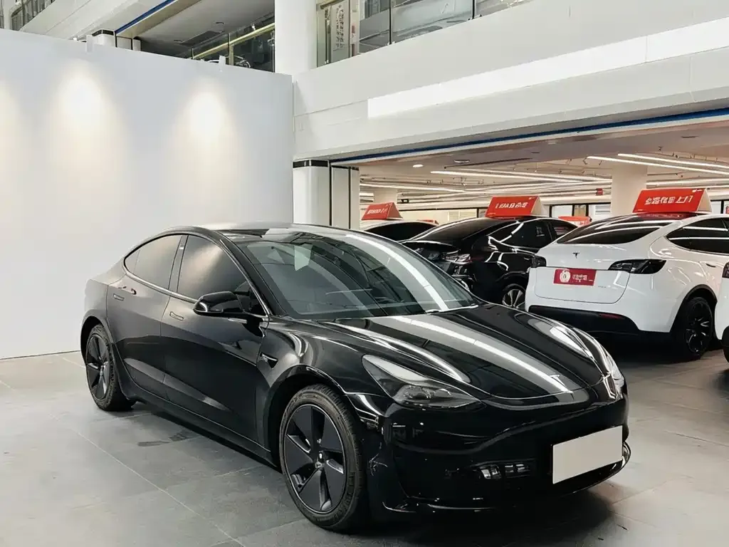 Tesla Model 3 2021 из CN, фото 4