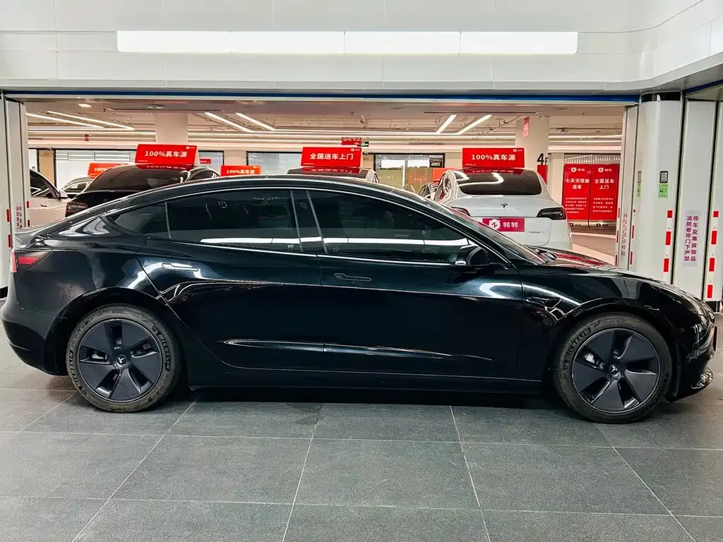 Tesla Model 3 2021 из CN, фото 5