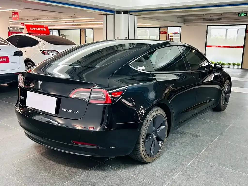 Tesla Model 3 2021 из CN, фото 6