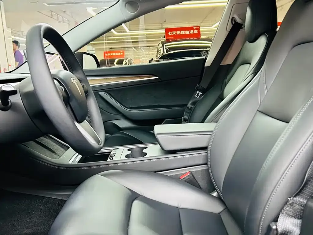 Tesla Model 3 2021 из CN, фото 9