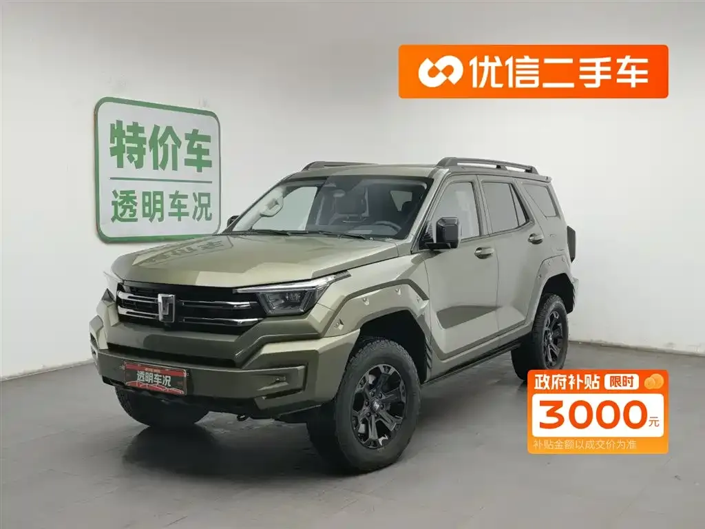 Tank 400 New Energy 2024 из CN, фото 1