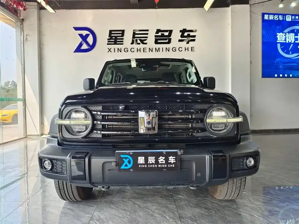 Tank 300 2023 из CN, фото 2