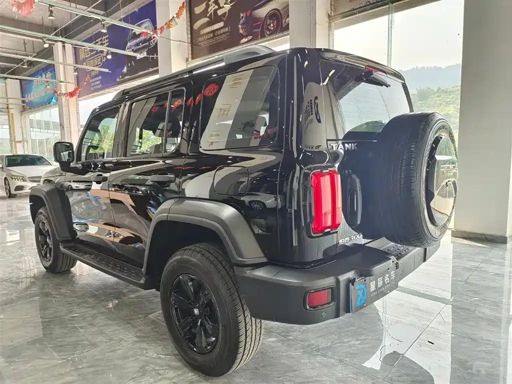 Tank 300 2023 из CN, фото 4