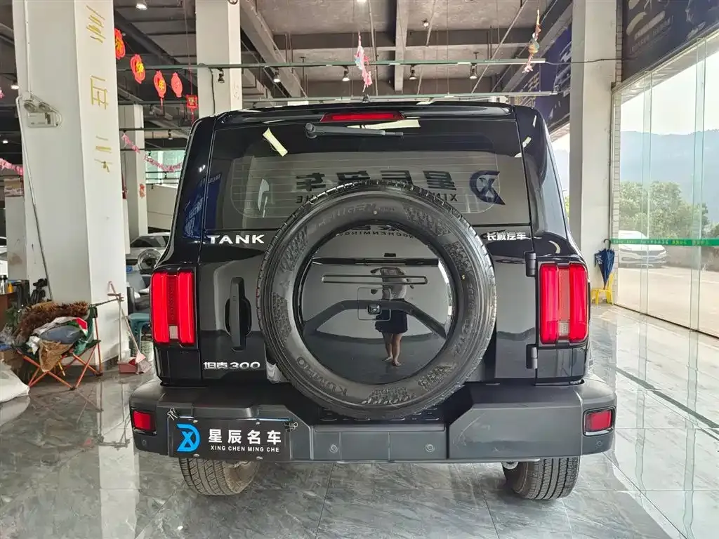 Tank 300 2023 из CN, фото 5