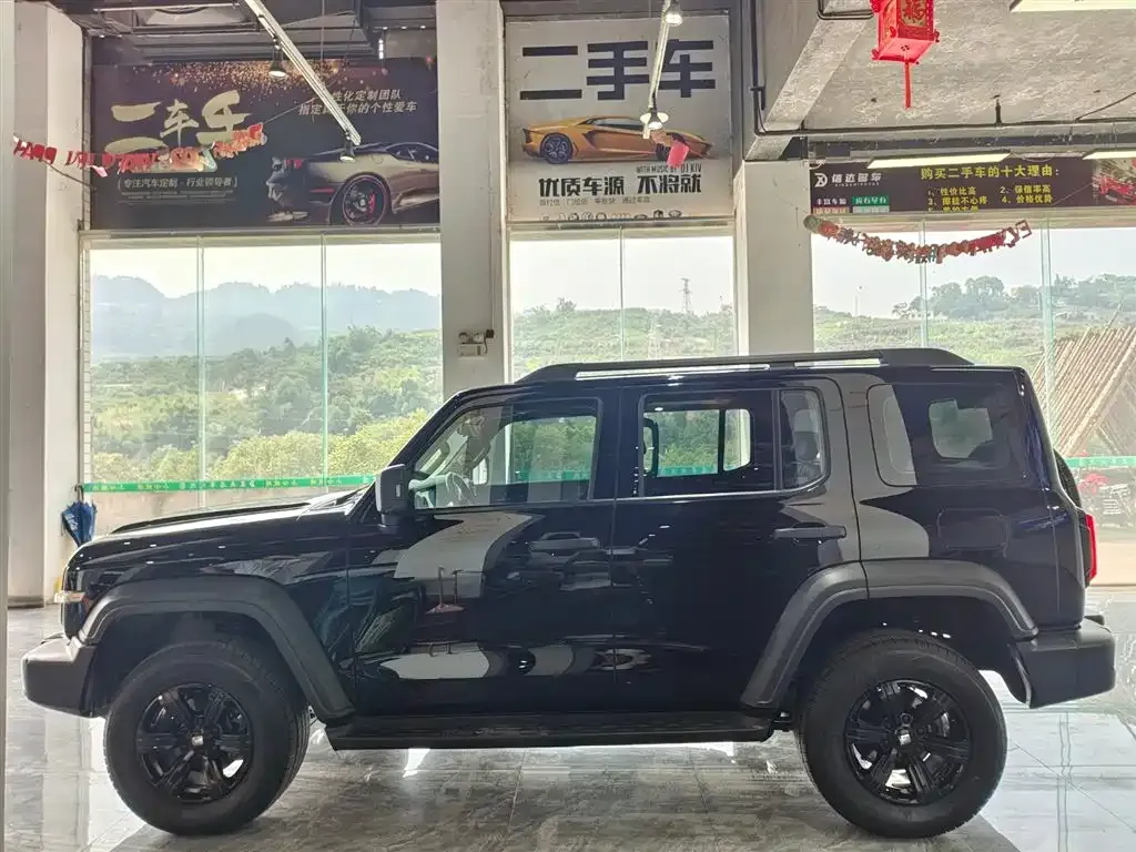 Tank 300 2023 из CN, фото 7