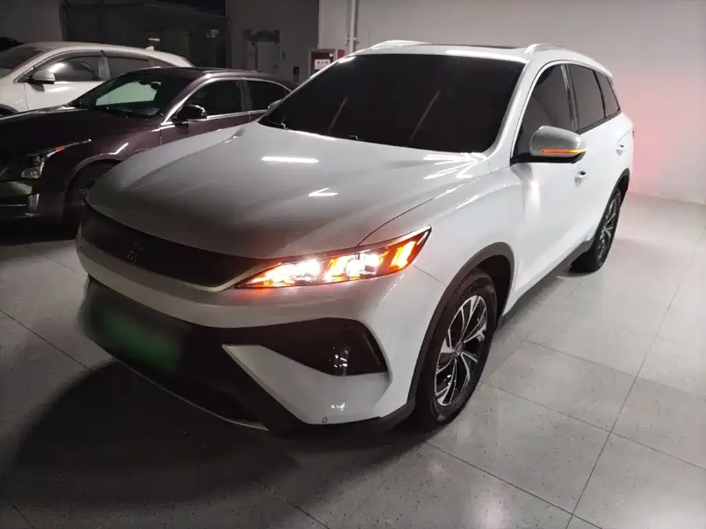 BYD Pro New Energy 2024 из CN, фото 1