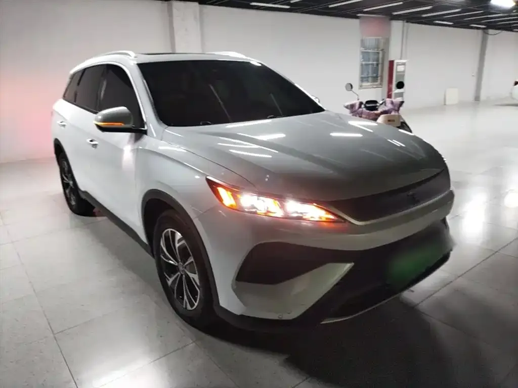 BYD Pro New Energy 2024 из CN, фото 4