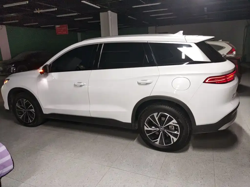 BYD Pro New Energy 2024 из CN, фото 5