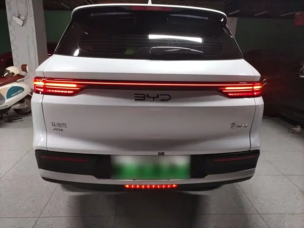 BYD Pro New Energy 2024 из CN, фото 6