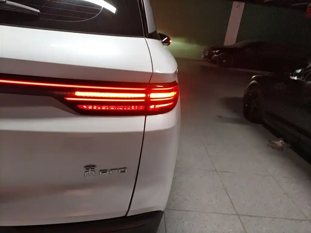 BYD Pro New Energy 2024 из CN, фото 8