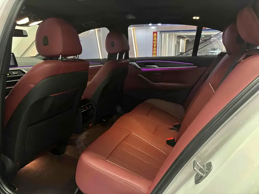 BMW 5 Series 2023 из CN, фото 10