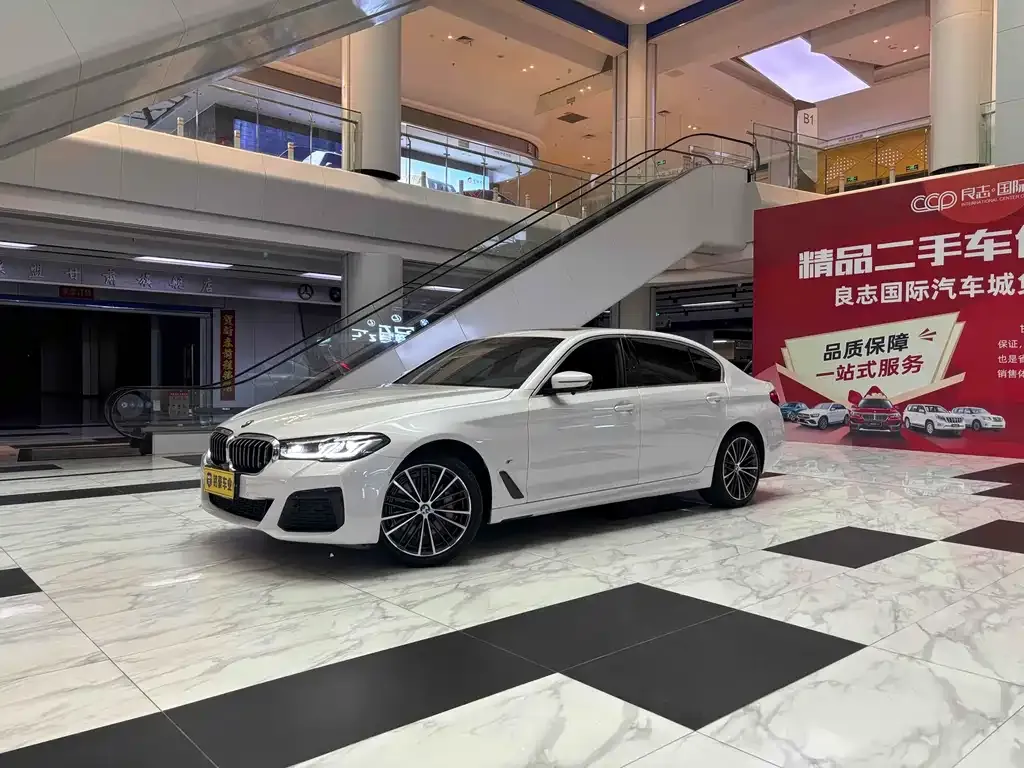 BMW 5 Series 2023 из CN, фото 3
