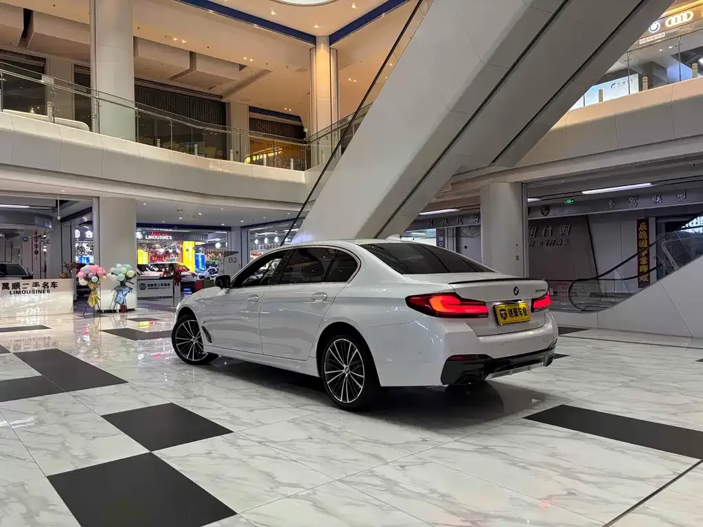 BMW 5 Series 2023 из CN, фото 5