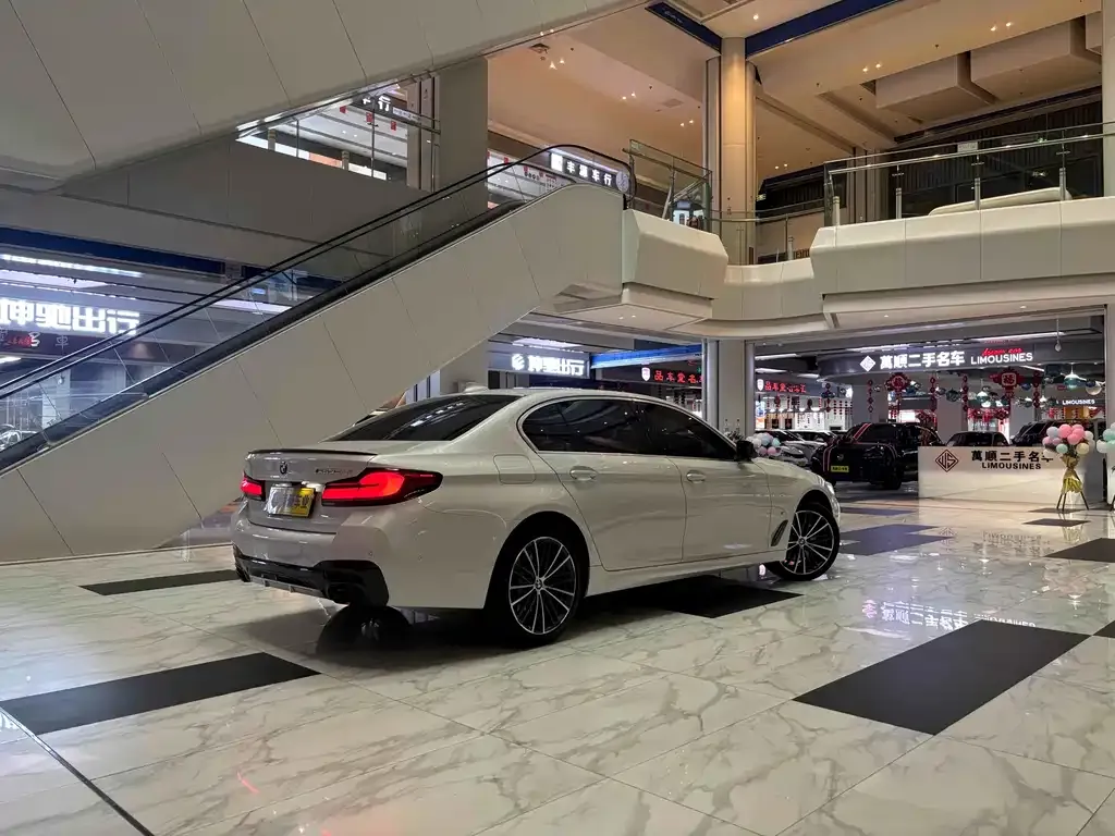 BMW 5 Series 2023 из CN, фото 6