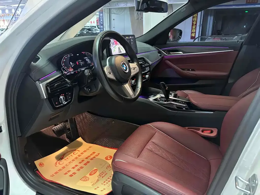 BMW 5 Series 2023 из CN, фото 7
