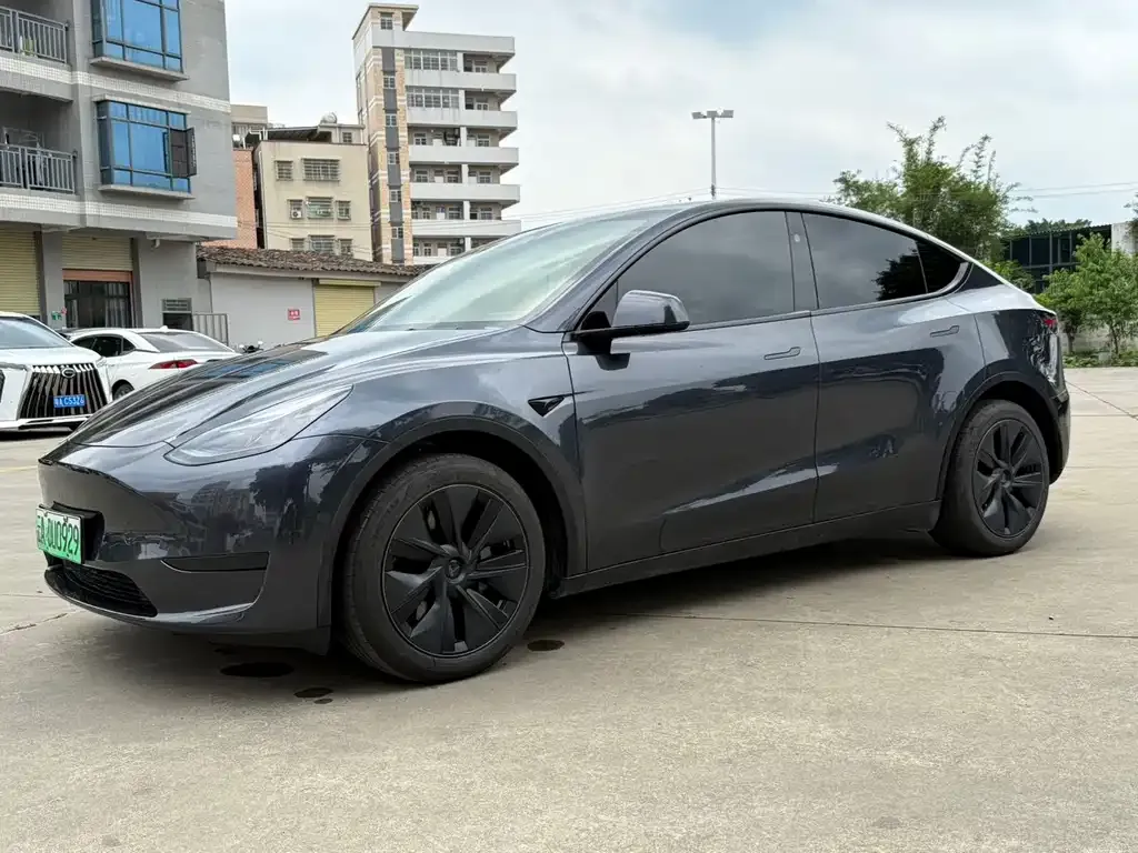 Tesla Model Y — фото 2