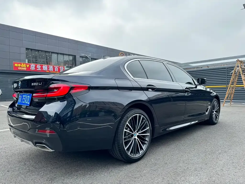 BMW 5 Series 2022 из CN, фото 5