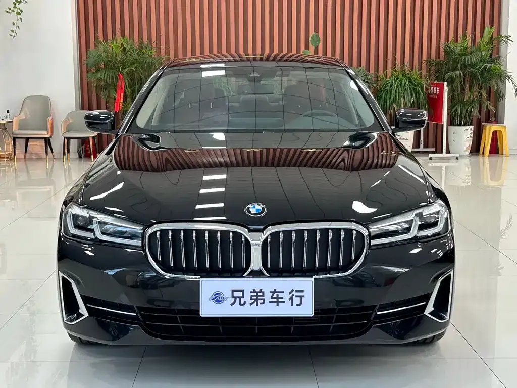 BMW 5 Series 2023 из CN, фото 1